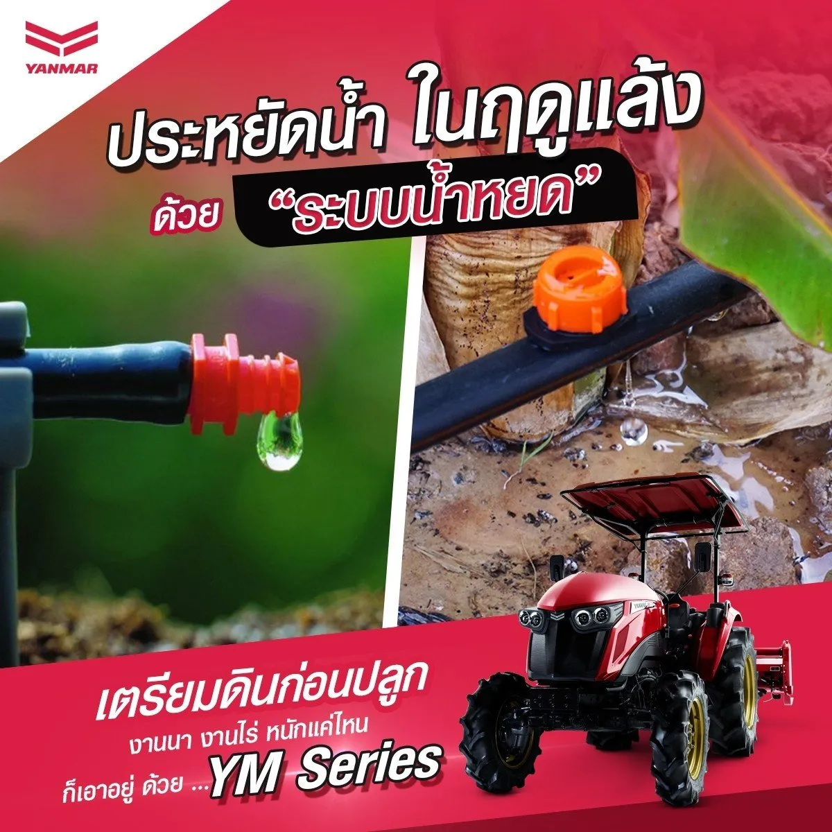 final2400ภาพ_201210_5